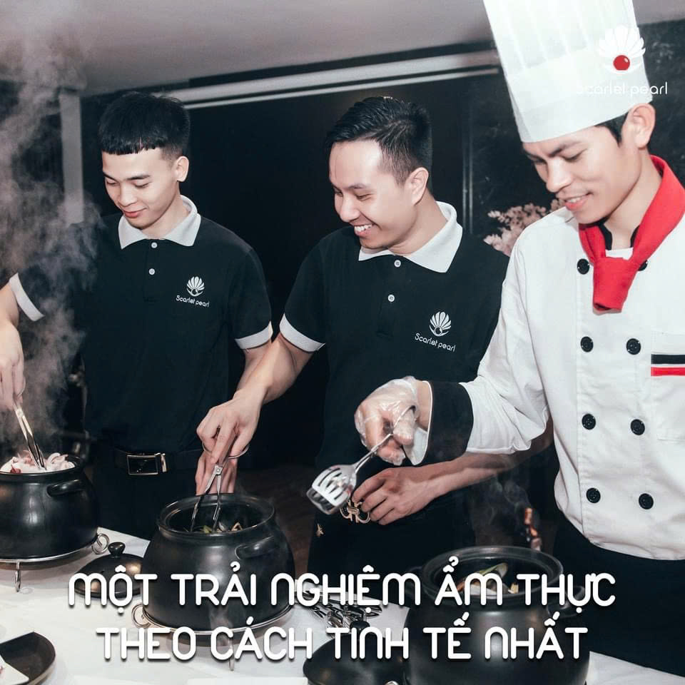 Du thuyền Scarlet Pearl Lan Hạ Du thuyền Scarlet Pearl Lan Hạ